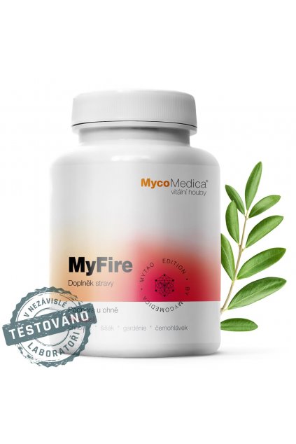 myfire detail s razitkem kopie.761696527