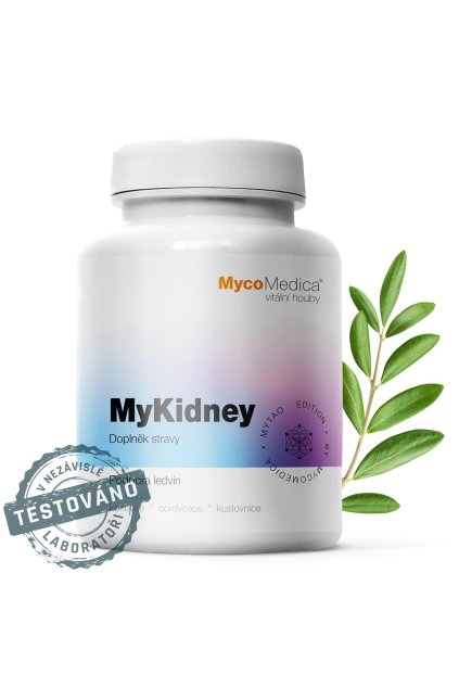 mykidney detail s razitkem kopie.761696527