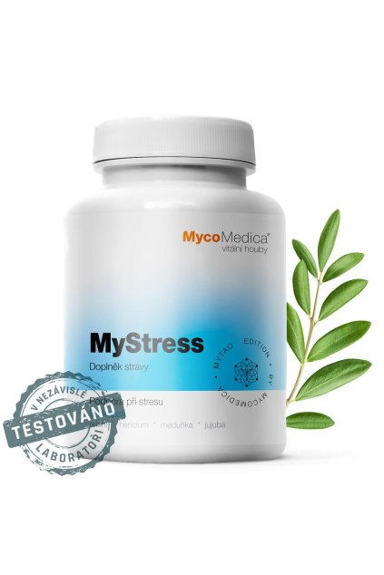 mystress detail s razitkem kopie.761696527