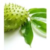 Graviola Soursop Annona muricata 510x600