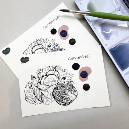 Proměny jedné rostliny - akvarelový vzorník