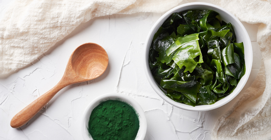 Jak se zbavit z těla těžkých kovů? Zkuste to pomocí mořských řas!