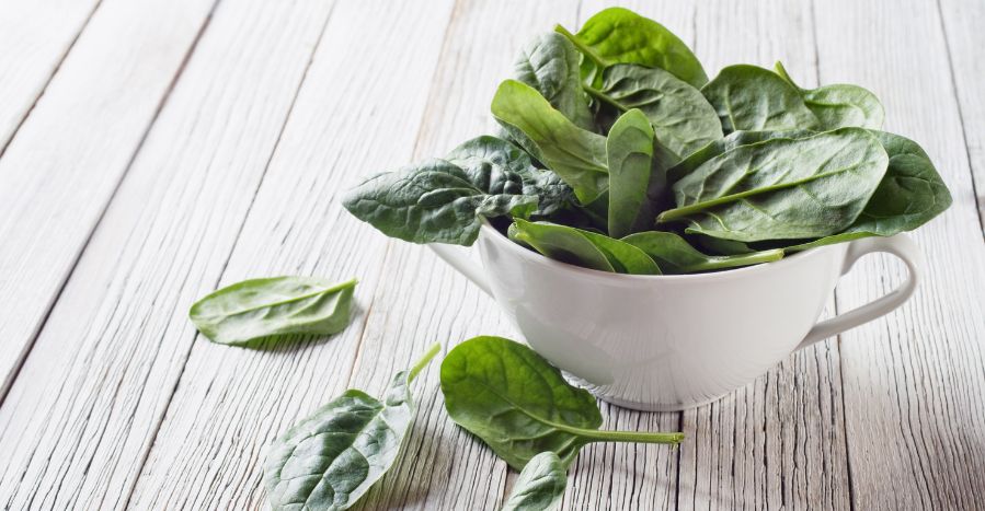Špenát – král listové zeleniny