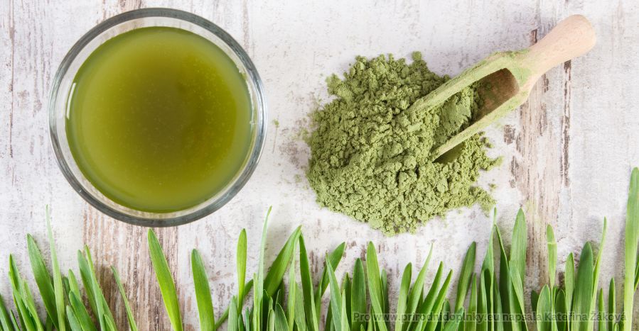 Zelený ječmen - Klíč k vitálnímu zdraví