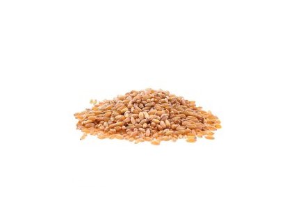 PŠENICE OZIMÁ BIO 1000g VIA NATURAE