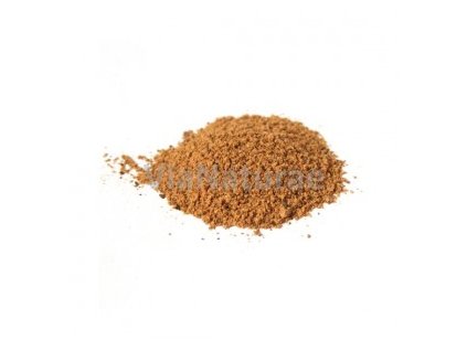 GUARANA PRÁŠEK 100g