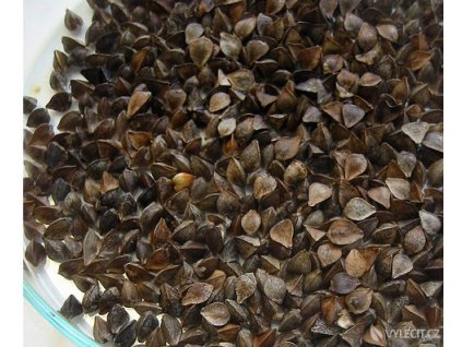 pohanka neloupana
