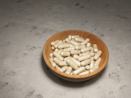 AŠVAGANDA TABLETY 600mg 120ks