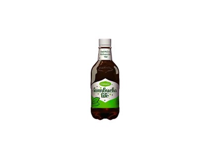 Bio Kombucha klasik 330ml
