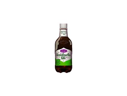 Bio Kombucha zázvorová 330ml