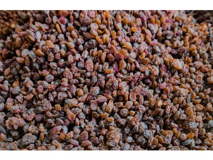 000006223 Raisins