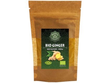 Bio zázvor 60g prášek