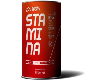 Bio Stamina Smoothie/DURING 600g