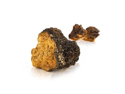 000003147 76254 1 76254 mycomedica chaga 90 tobolek