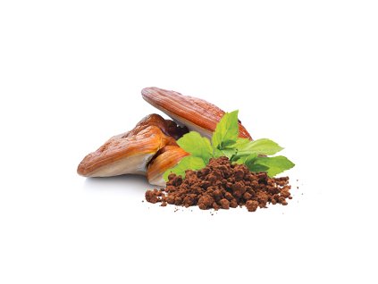 000001405 76296 76296 mycomedica reishi prasek bio 100g