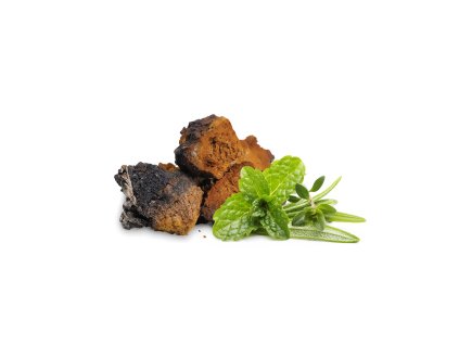 Reishi sušená 100 g MYCOMEDICA