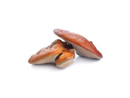 000002485 76329 1 76329 mycomedica reishi triterpen 90 kapsli