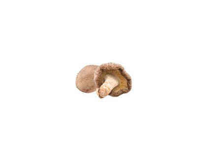 Shiitake prášek BIO 100 g MYCOMEDICA
