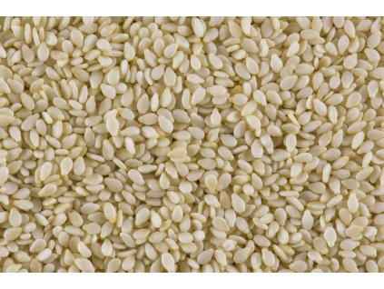 000000672 381 shutterstock 360343493