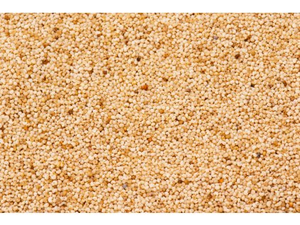 000002104 513 shutterstock 207431086