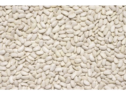 000000667 630 shutterstock 546625036