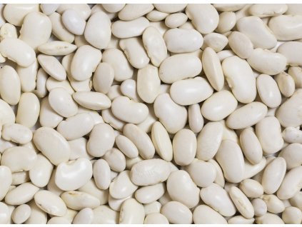 000000621 642 shutterstock 500297062