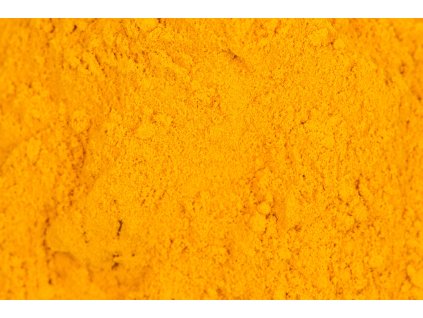 000001159 645 shutterstock 1446817043