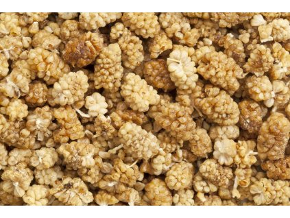 000000904 690 shutterstock 105307628