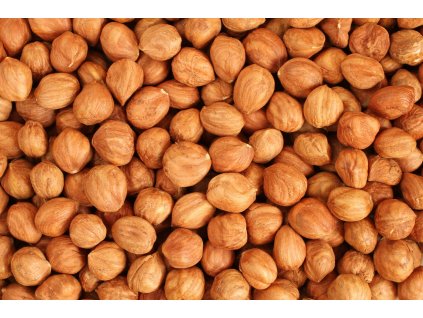 000001017 831 shutterstock 314327441 1