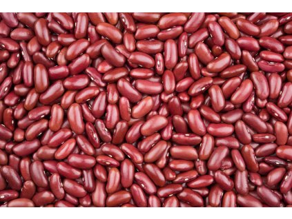 000001637 939 shutterstock 546049687