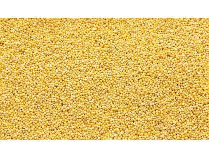 000003332 1119 shutterstock 1066304408