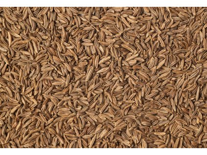 000001216 1257 shutterstock 395312125