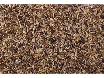 000000964 1623 shutterstock 146383682