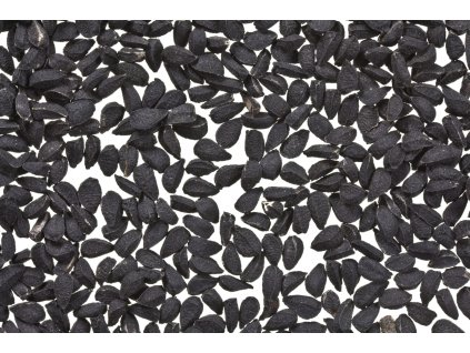 000001844 1626 shutterstock 101663452