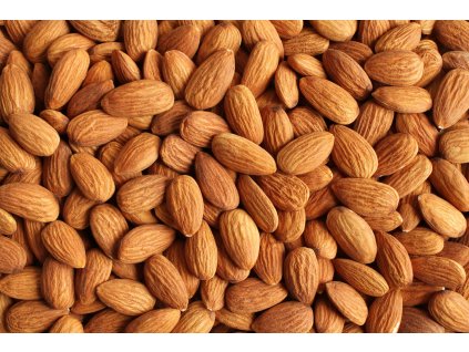 000002324 1917 shutterstock 1036889638