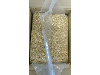 000002513 1962 whatsapp image 2019 09 07 at 11 30 33