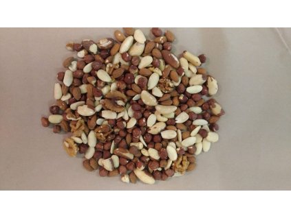 000003066 1965 whatsapp image 2019 09 07 at 11 31 22