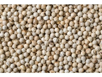 000000733 5939 shutterstock 169870475