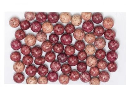 000000431 4883 bez nazvu 1