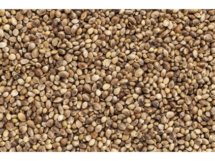 000001905 5684 konopne seminko neloupane bio 5kg