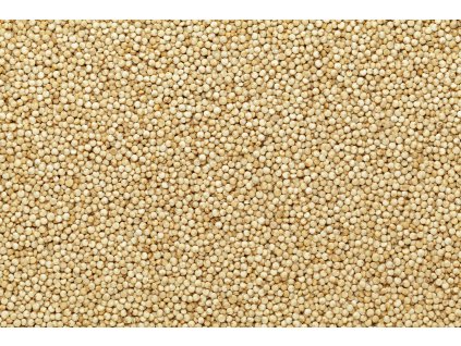 000002022 8441 shutterstock 448058827