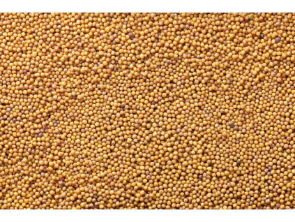 000003523 15313 shutterstock 228905680