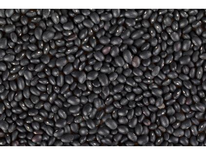 000005121 shutterstock 123732421