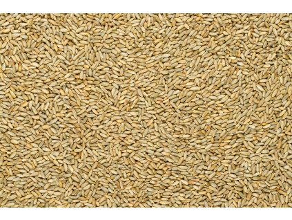 000006135 Organic%20rye