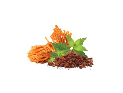 76293 mycomedica cordyceps prasek bio 100g