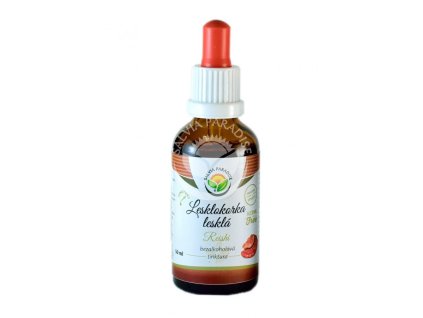 000000875 11539 lesklokorka leskla af tinktura 50ml