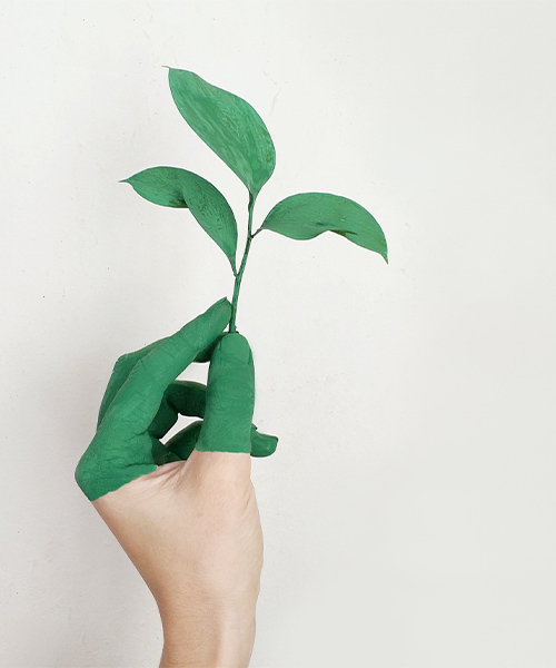 Ako vám ekológia môže zmeniť život