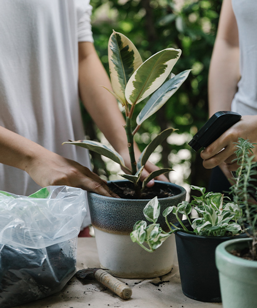 5 zaujímavostí pri používaní ekologických hnojív