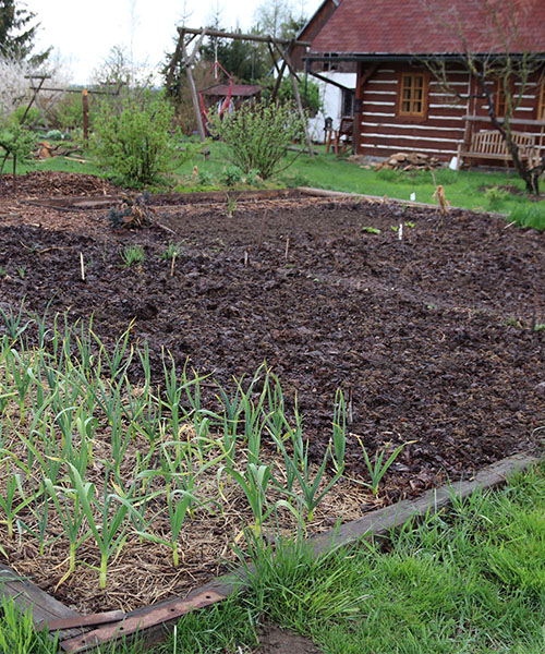 Jesenná príprava zeleninových záhonov v permakultúrnej záhrade
