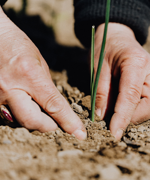 Znečistenie, pH a iné faktory meniace kvalitu pôdy